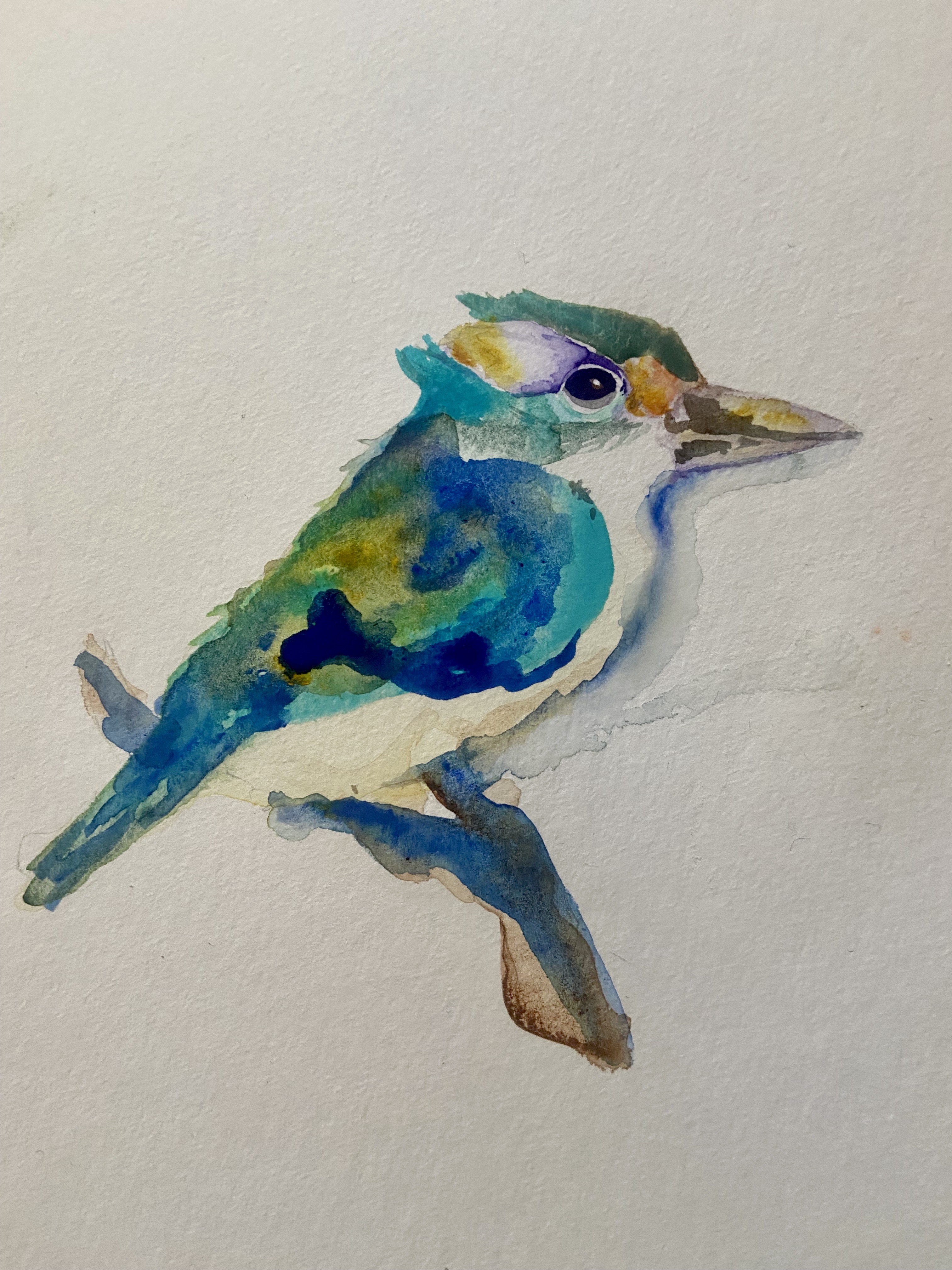 A watercolor of a Kingfisher