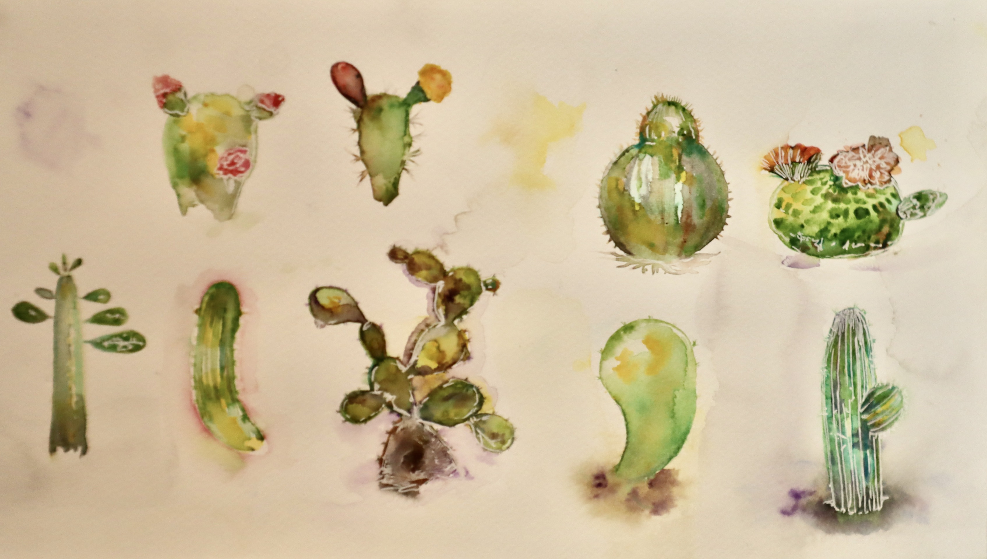A watercolor of cacti